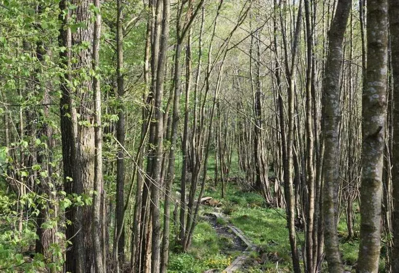 Lilla Rygårdens B&b