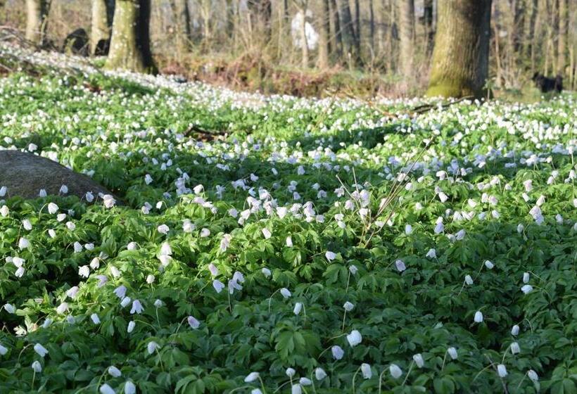 Lilla Rygårdens B&b