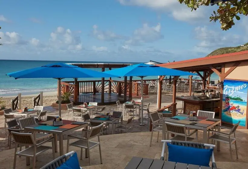 هتل Oceans At Divi Little Bay