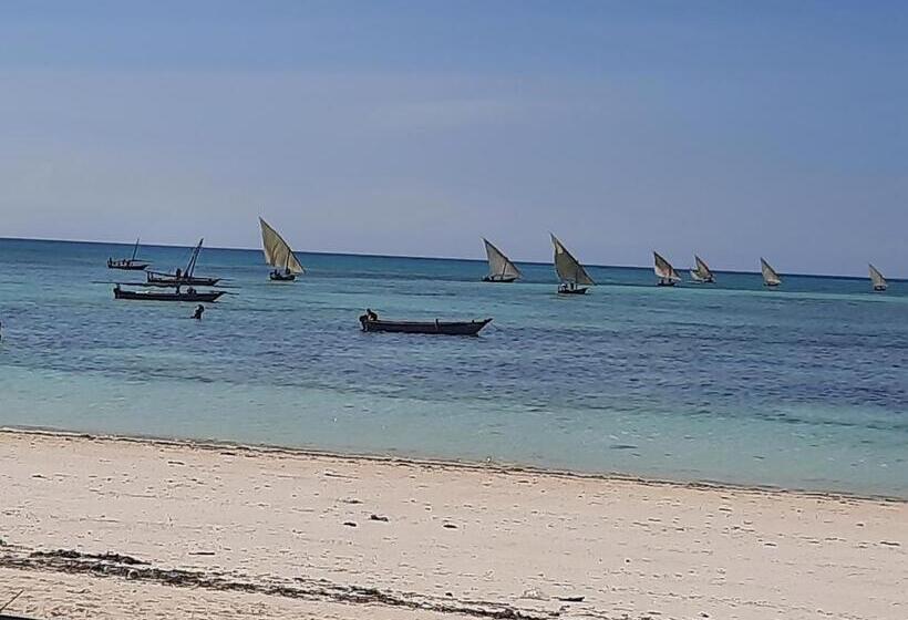 Bed and Breakfast Amesbungalows