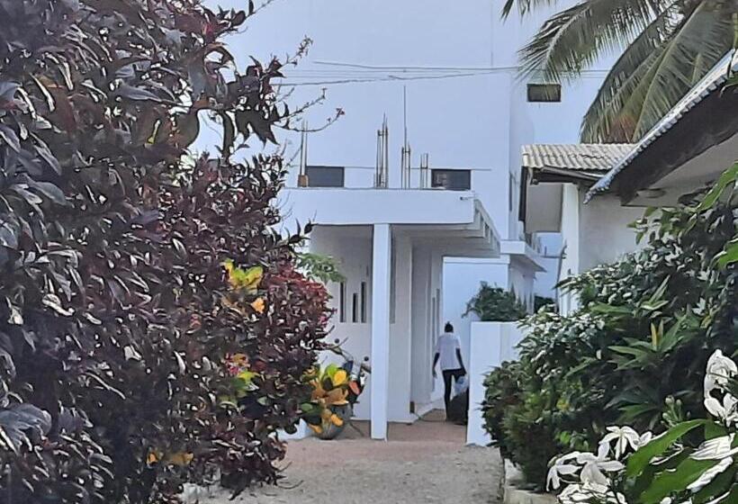 Bed and Breakfast Amesbungalows