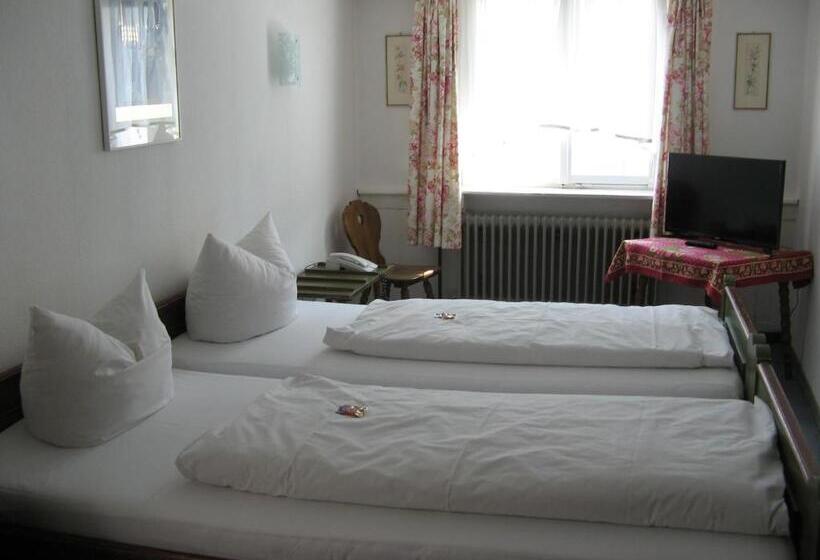 Hotel Gasthaus Löwen