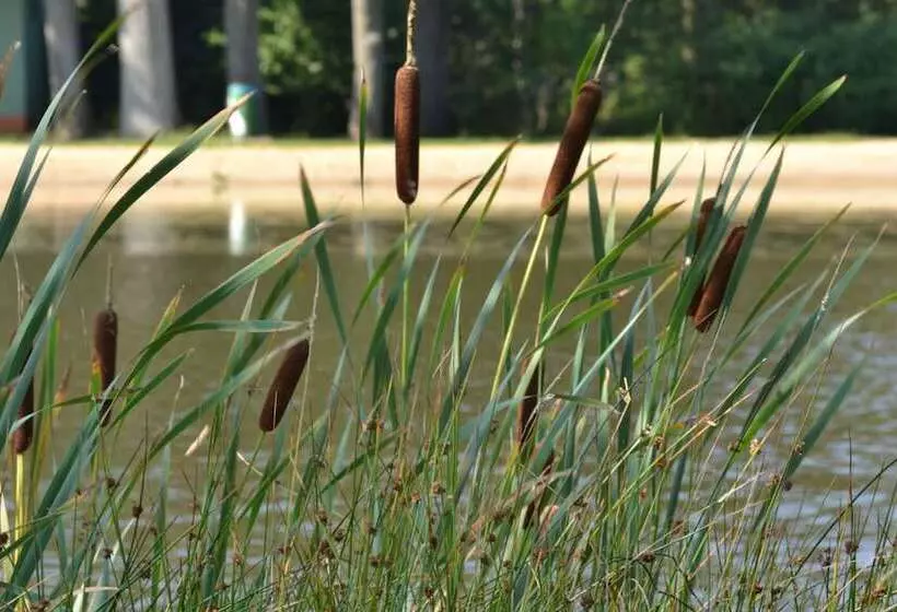 Majatalo Ferienparadies Mühlenbach