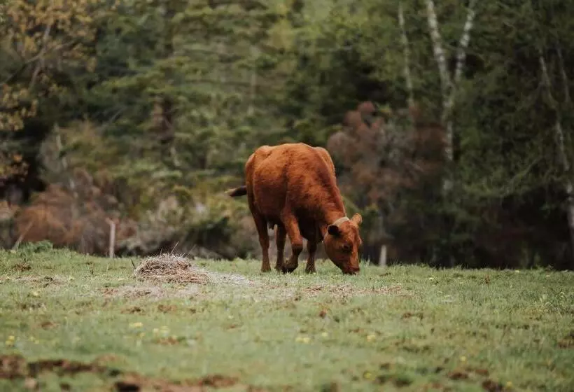 ベッドアンドブレックファースト The Kitch Inn   Boutique Inn And Wine Bar