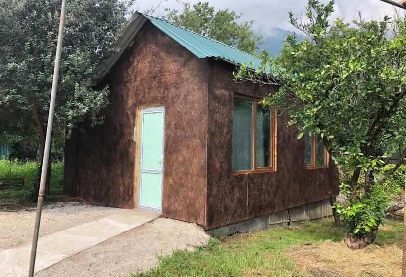 پانسیون V Gostiakh U Maii