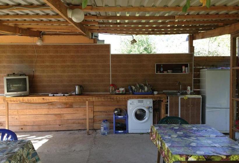 پانسیون V Gostiakh U Maii