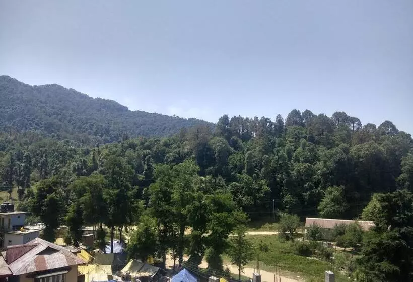 Hotelli City Forest