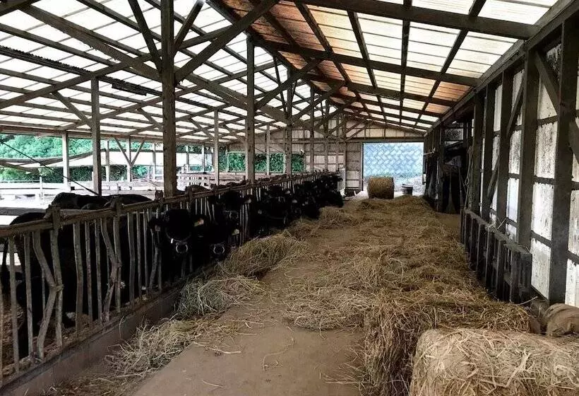 پانسیون Guesthouse Wasabi