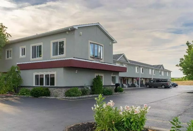 モーテル Relax Inn   Batavia