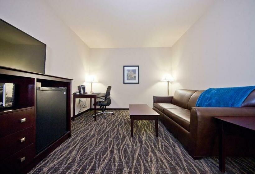 酒店 Cobblestone Inn & Suites  Boone