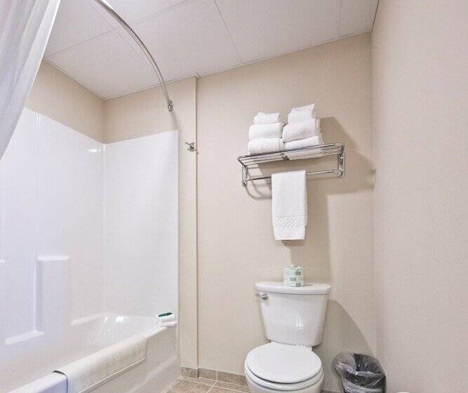 酒店 Cobblestone Inn & Suites  Boone