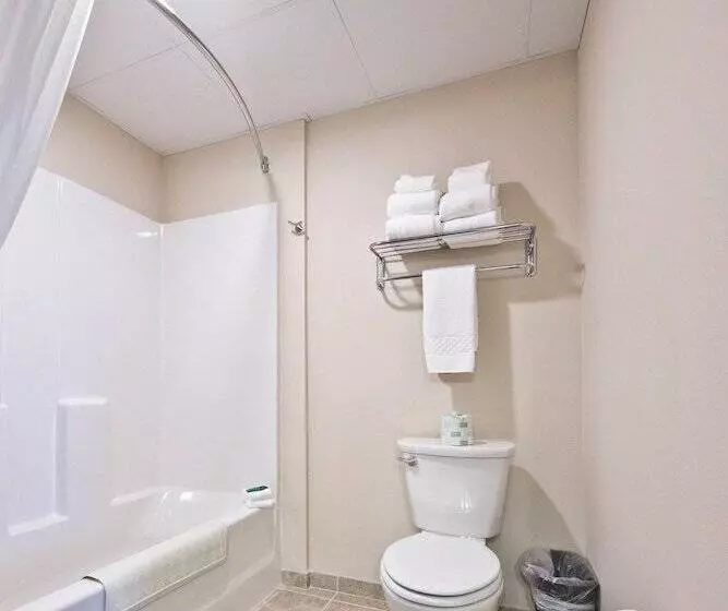 ホテル Cobblestone Inn & Suites  Boone