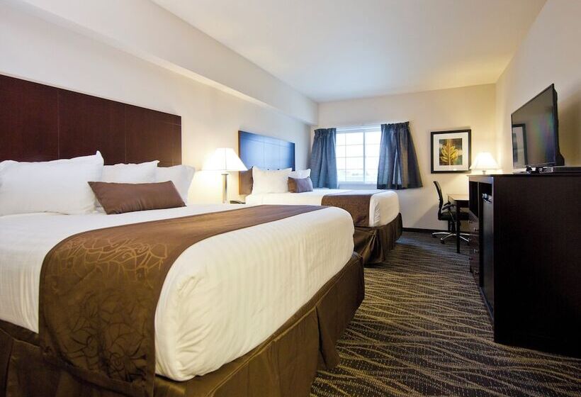 酒店 Cobblestone Inn & Suites  Boone