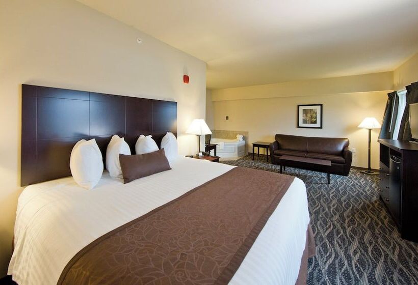 酒店 Cobblestone Inn & Suites  Boone