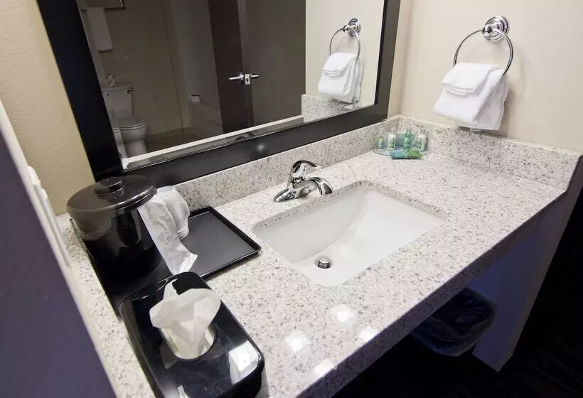 ホテル Cobblestone Inn & Suites  Boone