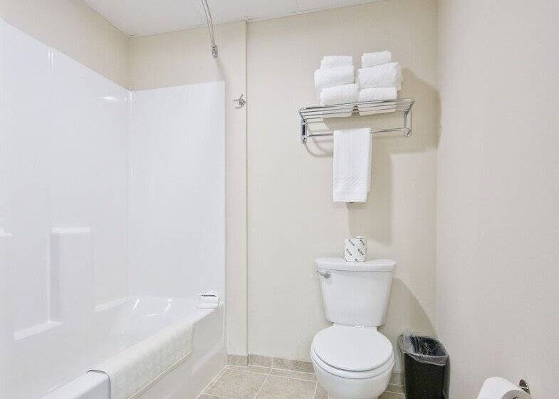 酒店 Cobblestone Inn & Suites  Boone