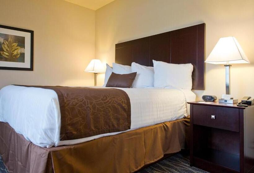 酒店 Cobblestone Inn & Suites  Boone