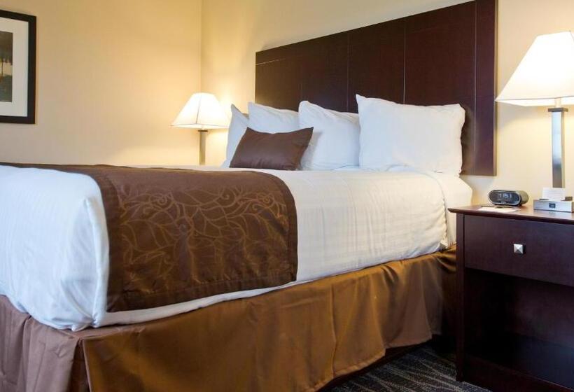 酒店 Cobblestone Inn & Suites  Boone