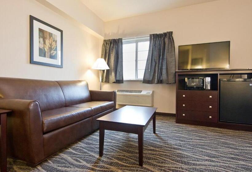 酒店 Cobblestone Inn & Suites  Boone