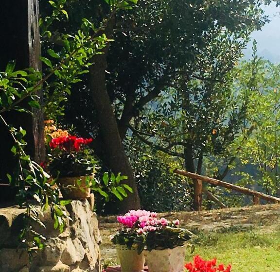 בית מלון כפרי Pizzicalaluna