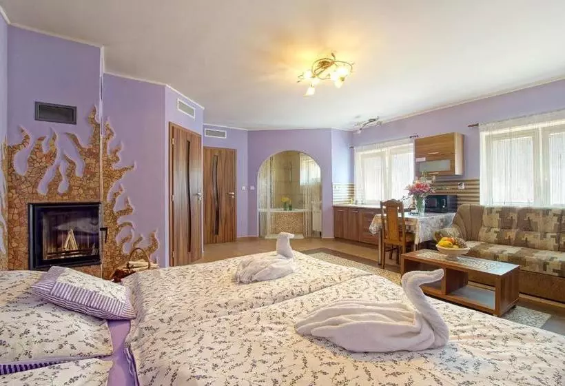 ペンション Penzion U Paroháče