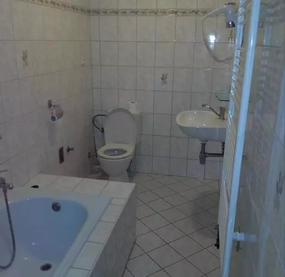 ペンション Penzion U Paroháče