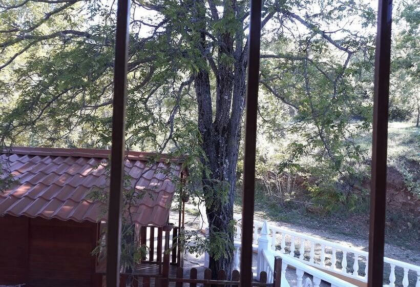 ペンション Complejo Recreativo Baños Del Sagrario