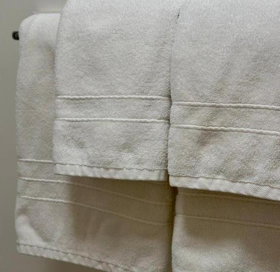 호스텔 Cheticamp Outback Inn