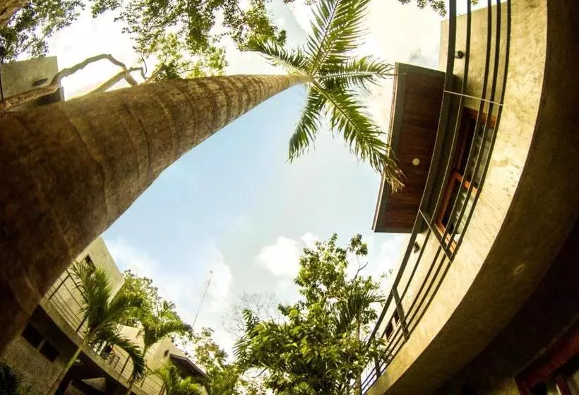 ホテル Solera Tulum