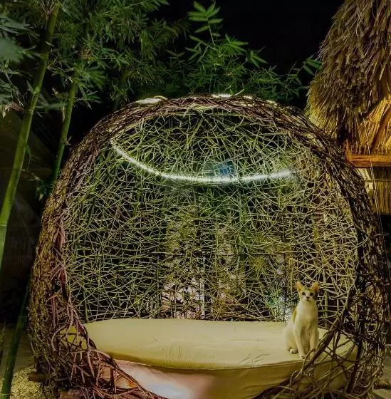 ホテル Solera Tulum