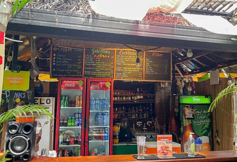 پانسیون Oasis Hostel