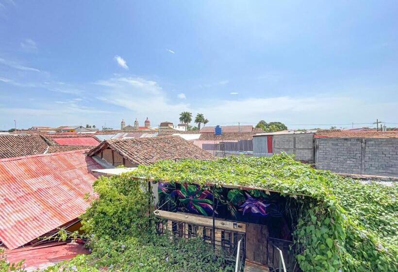 پانسیون Oasis Hostel