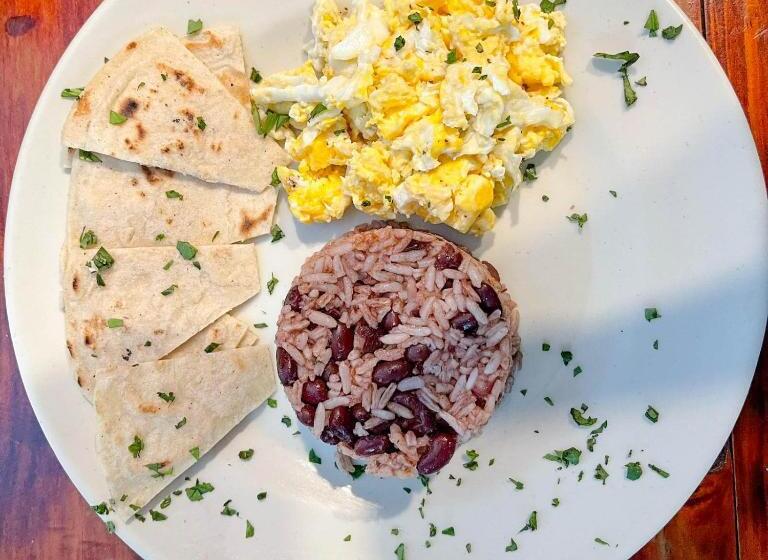 پانسیون Oasis Hostel