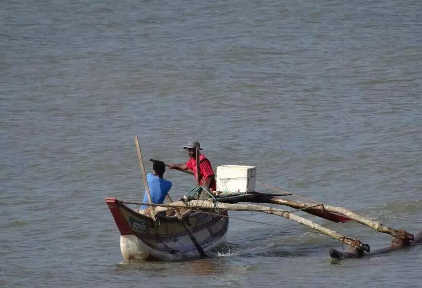 Aamiaismajoitus (B&B) Amssler Beach Stay