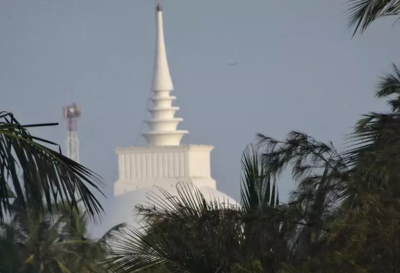 Aamiaismajoitus (B&B) Amssler Beach Stay