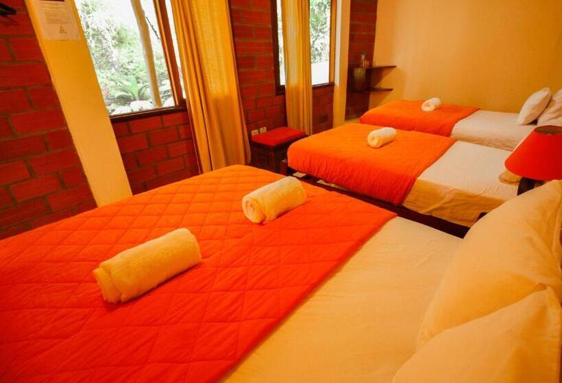 Общежитие Hosteria Orkidea Lodge