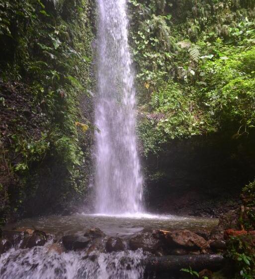 Общежитие Hosteria Orkidea Lodge