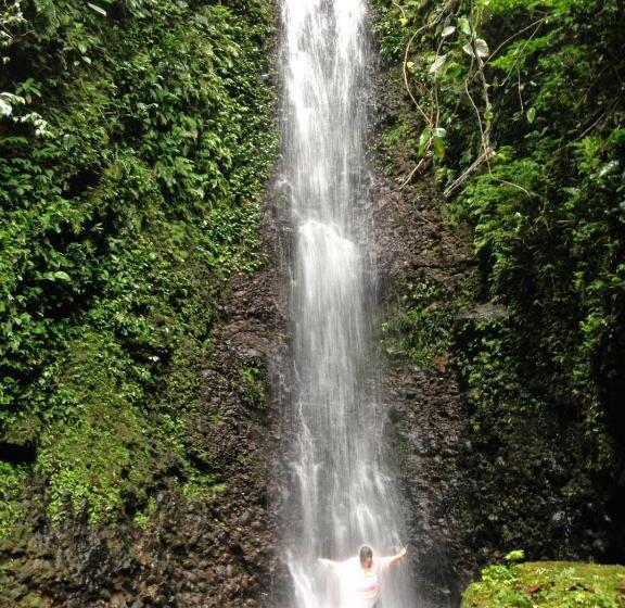 Общежитие Hosteria Orkidea Lodge