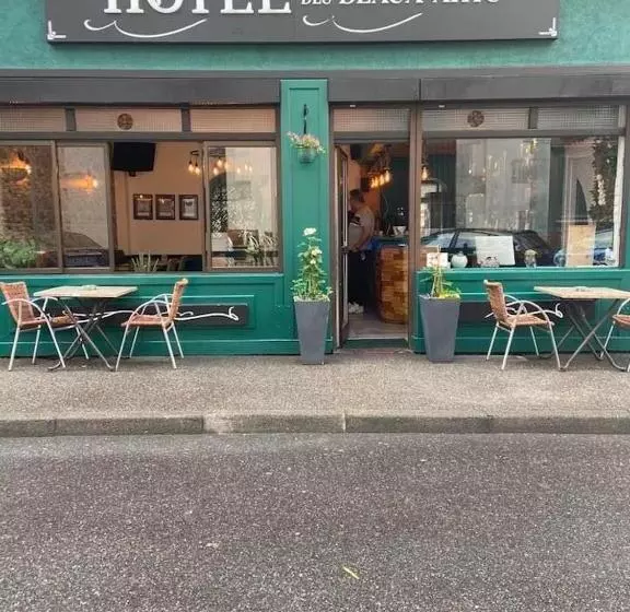 Hotel Hôtel Des Beaux Arts