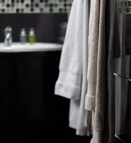 Hotel Hôtel Des Beaux Arts