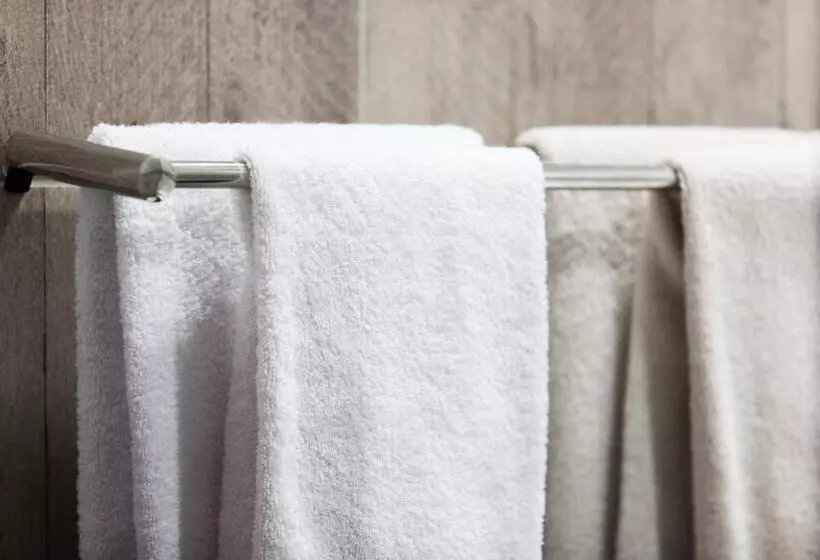 Hotel Hôtel Des Beaux Arts