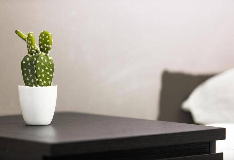 هتل Hôtel Des Beaux Arts