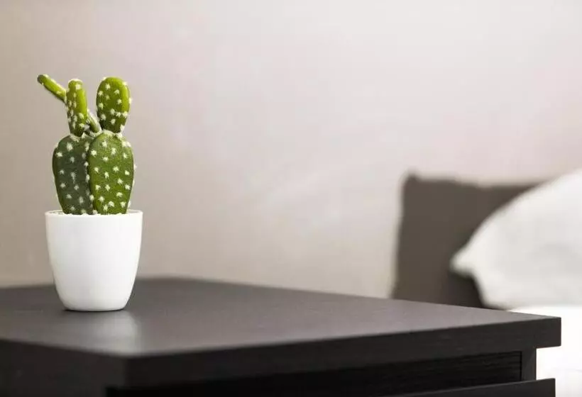 Hotel Hôtel Des Beaux Arts