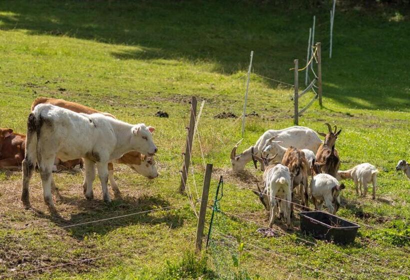 هتل Statek U Rajmunda