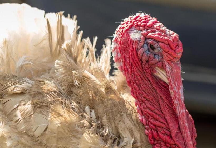 هتل Statek U Rajmunda