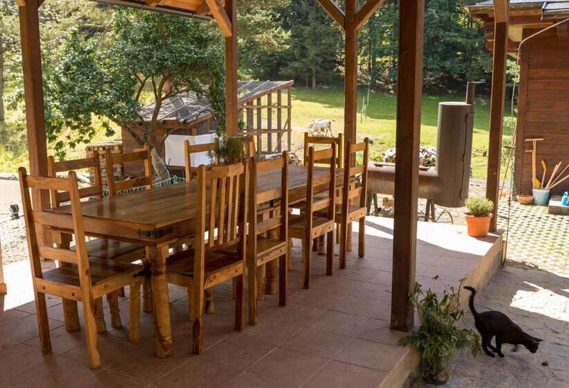 هتل Statek U Rajmunda