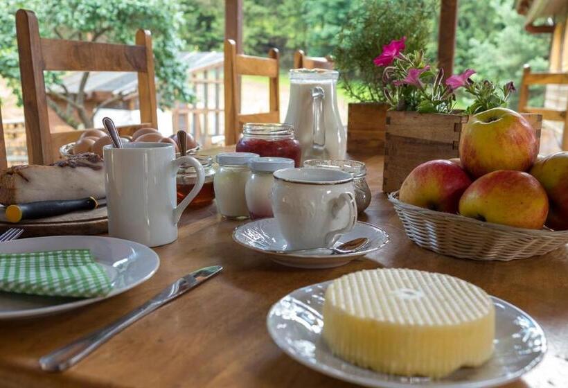 هتل Statek U Rajmunda