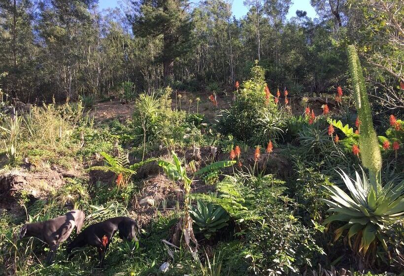 بنسيون A Riverbed Guesthouse