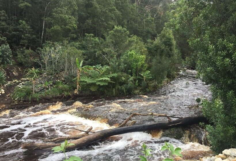 بنسيون A Riverbed Guesthouse