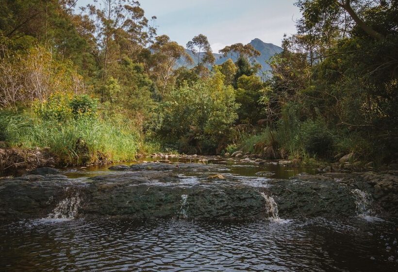 بنسيون A Riverbed Guesthouse